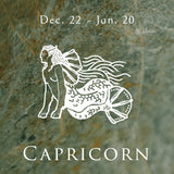 Capricorn Necklace 摩羯座 韶光星座墜鍊