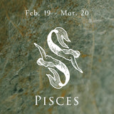 Pisces Necklace 雙魚座 韶光星座墜鍊