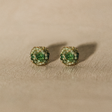 Caravan Solo Studs Earrings - Amber Green