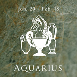 Aquarius Necklace Aquarius Sunshine Zodiac Pendant