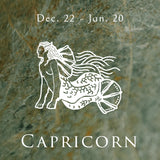 Capricorn Necklace Capricorn Sunshine Zodiac Pendant
