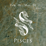 Pisces Necklace Pisces Sunshine Zodiac Pendant 